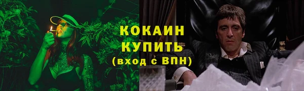 ALPHA-PVP Новозыбков