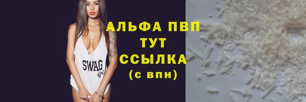 сатива Новокубанск