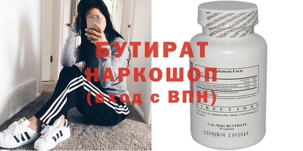 сатива Новокубанск