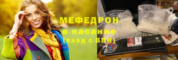 сатива Новокубанск