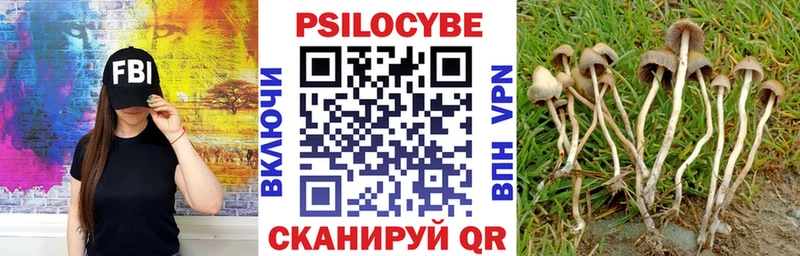 наркота Нолинск Псилоцибиновые грибы GOLDEN TEACHER